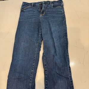 American Eagle Outfitters Dark Blue Straight Leg Jeans